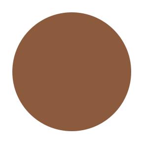 Cool Neutral N10 Flawless Foundation