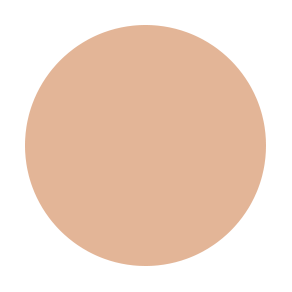 Cool Neutral N5 Flawless Foundation