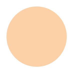 Warm Yellow C25 Flawless Foundation